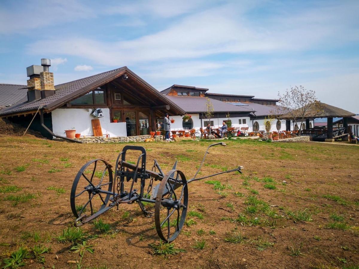 费尔马山林小屋酒店 Tohani 外观 照片